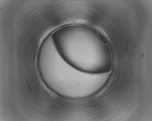 X0000076420936200610061015