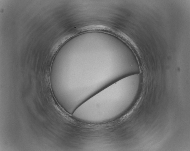 X0000076420937200610061015