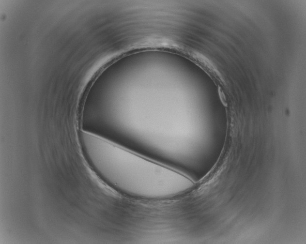X0000076420942200610061015