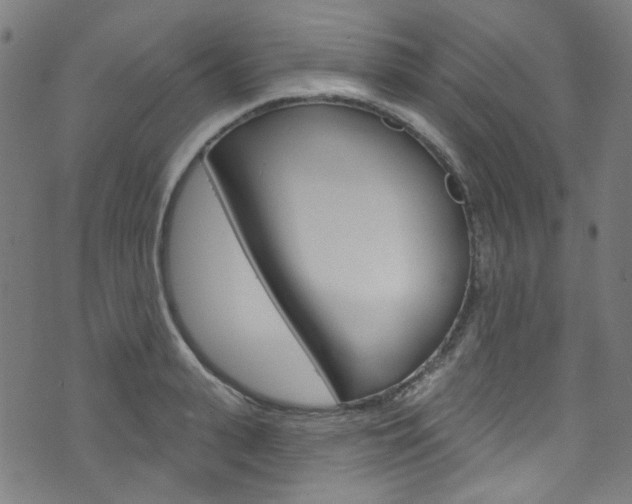 X0000076420943200610061015