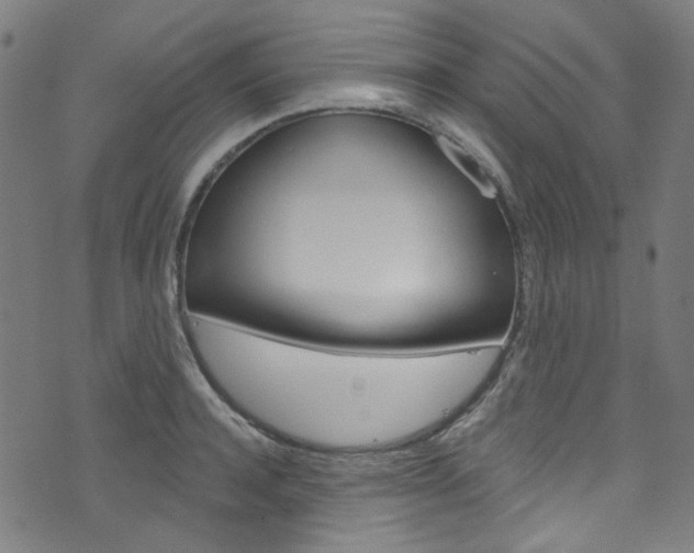 X0000076420944200610061015