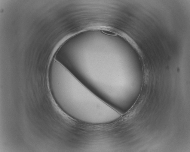 X0000076420955200610061015