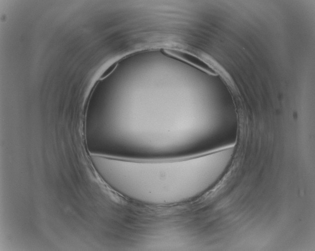 X0000076420956200610061015