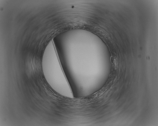 X0000076420963200610061015