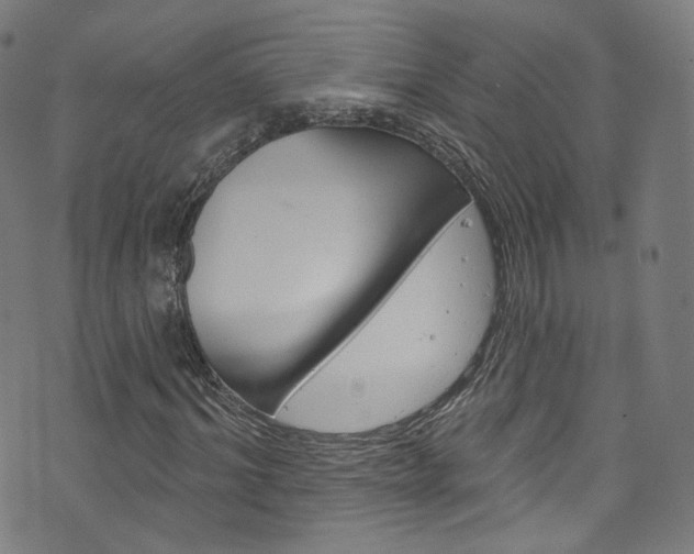 X0000076420964200610061015