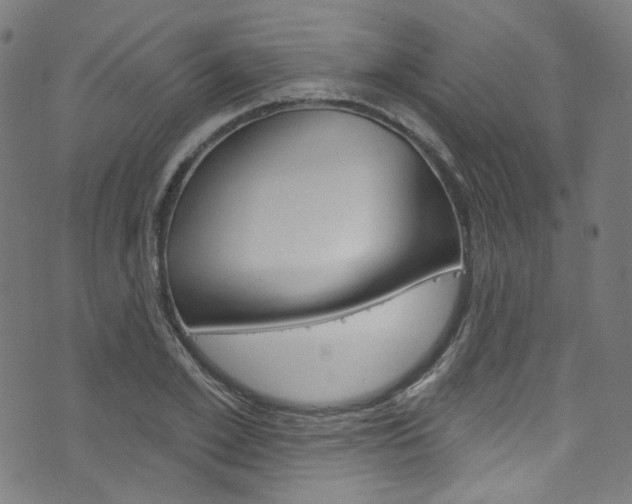 X0000076420981200610061014