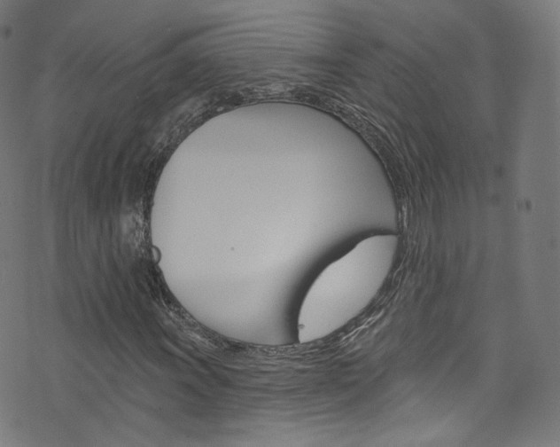 X0000076421011200610061013