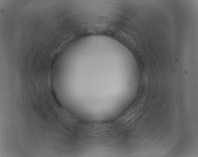 X0000076421012200610061013