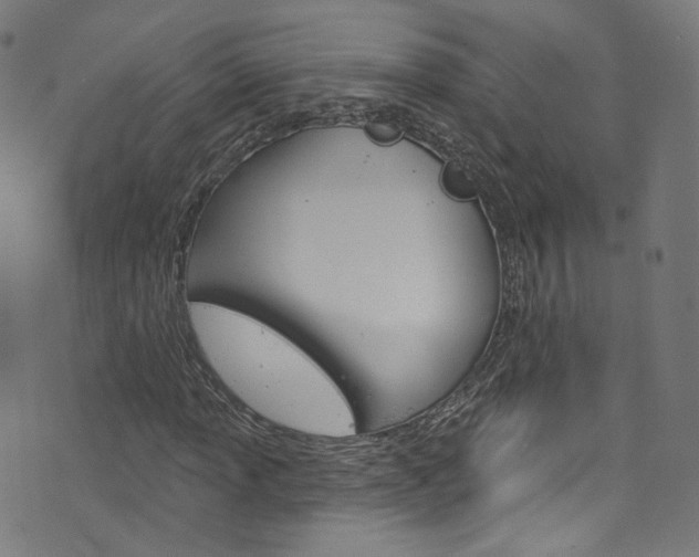 X0000076421013200610061013