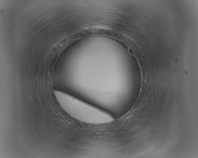 X0000076421014200610061013