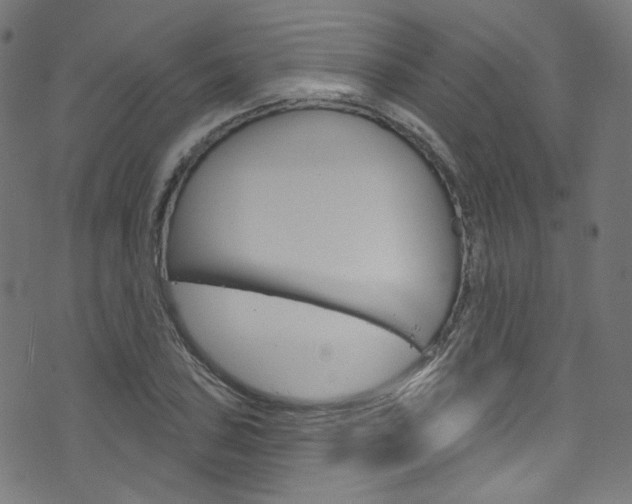 X0000076421027200610061013