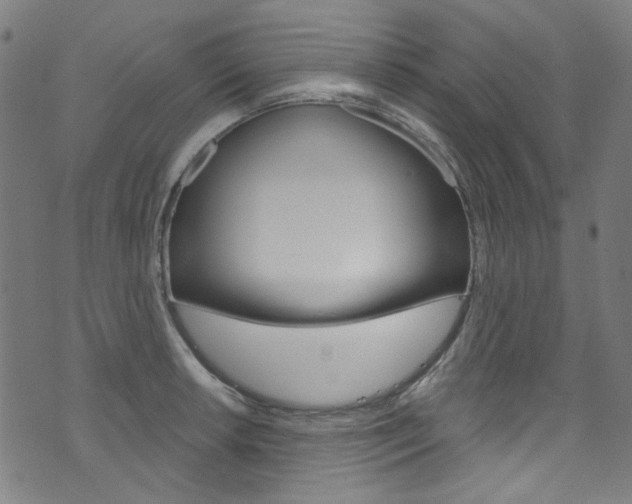 X0000076421042200610061014