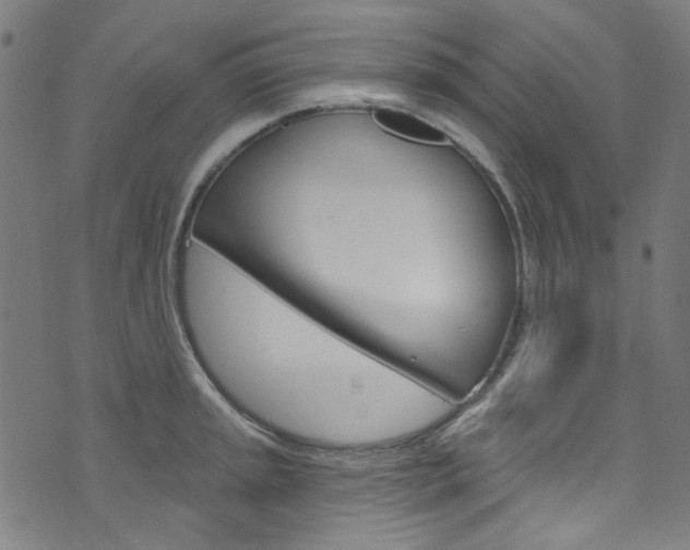 X0000076421045200610061014