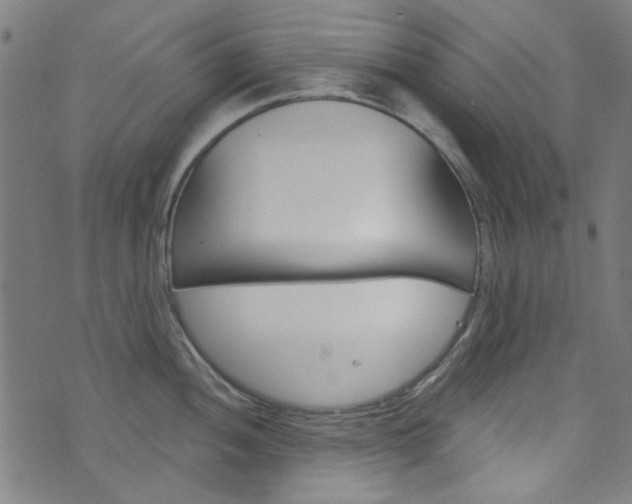 X0000076421052200610061014
