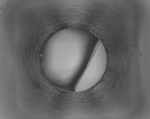 X0000076421057200610061013