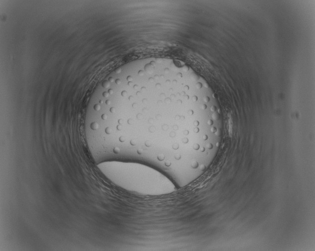 X0000076421059200610061013