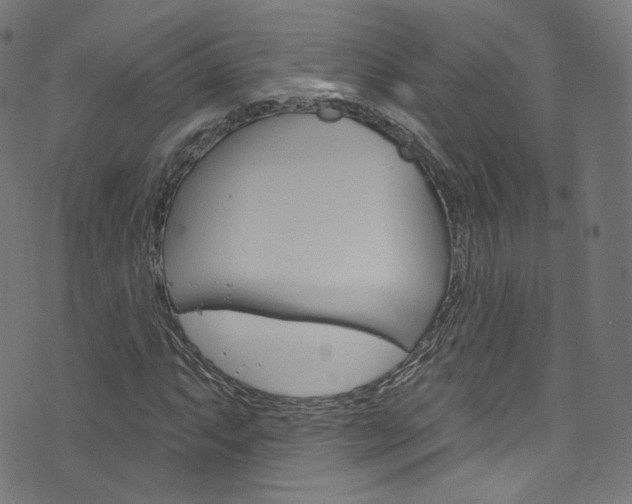 X0000076421063200610061013
