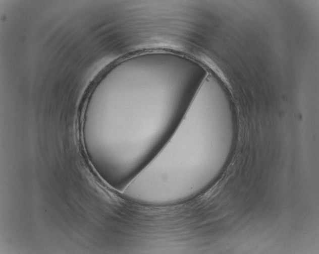 X0000076421076200610061013