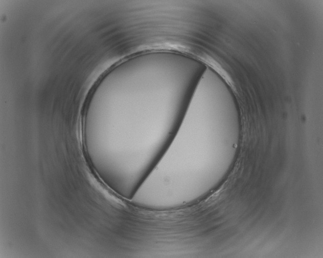 X0000076421084200610061013