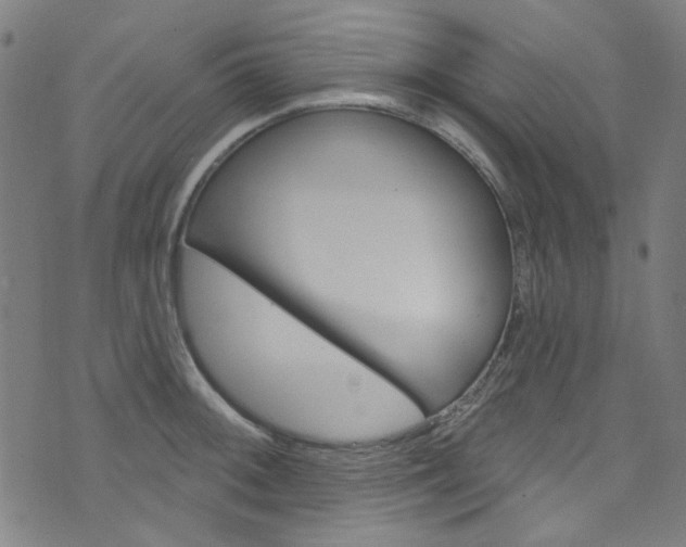 X0000076421092200610061012