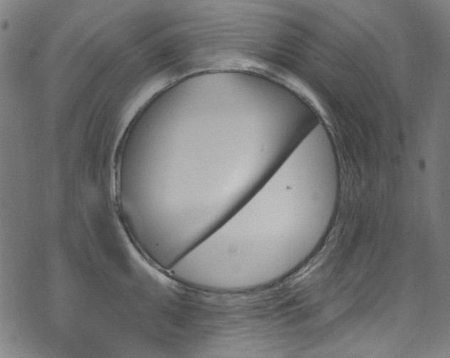 X0000076421095200610061012
