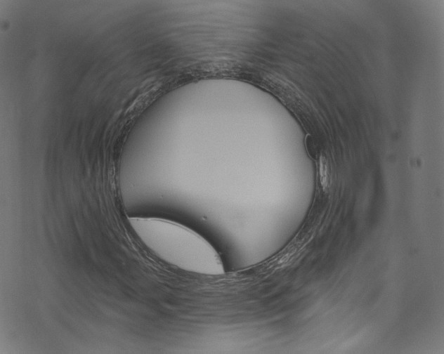 X0000076421107200610061011