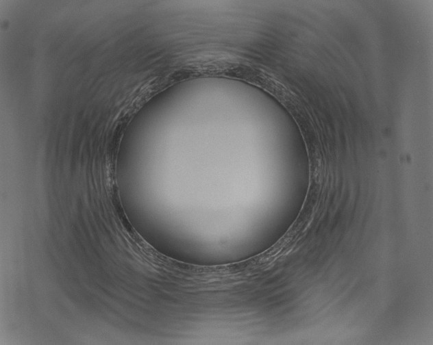 X0000076421108200610061011