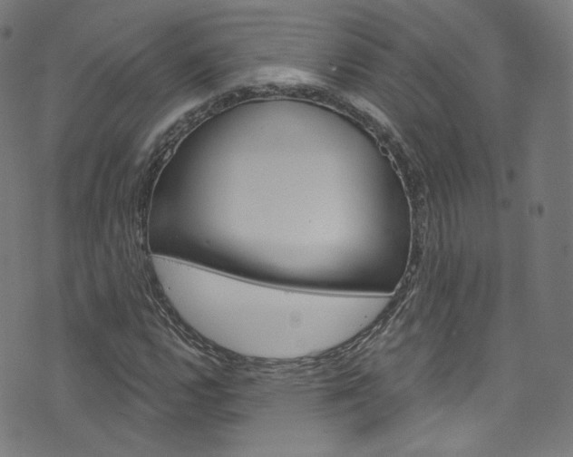 X0000076421112200610061012