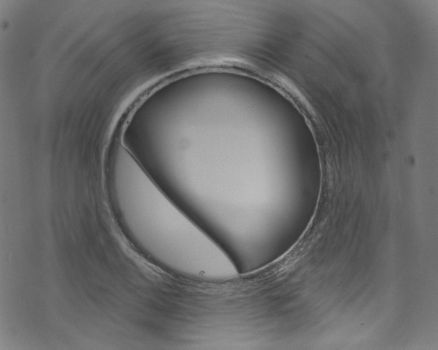 X0000076421124200610061012