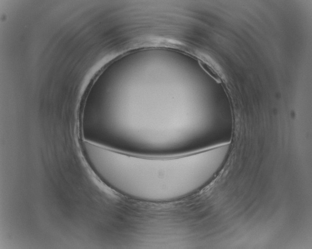 X0000076421136200610061012