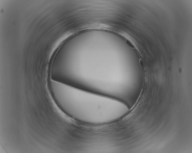 X0000076421139200610061012
