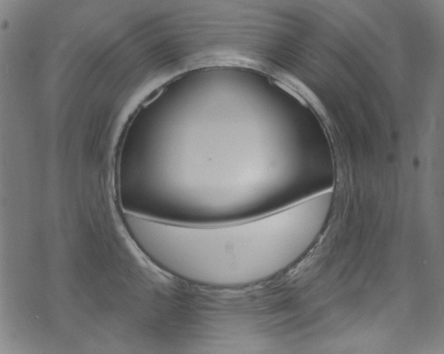 X0000076421144200610061012