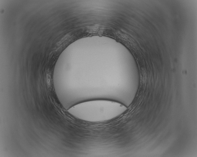 X0000076421154200610061011
