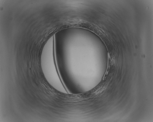 X0000076421156200610061011