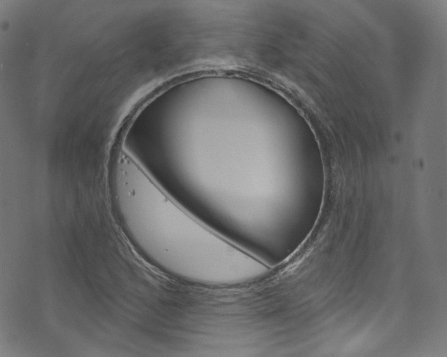 X0000076421168200610061011