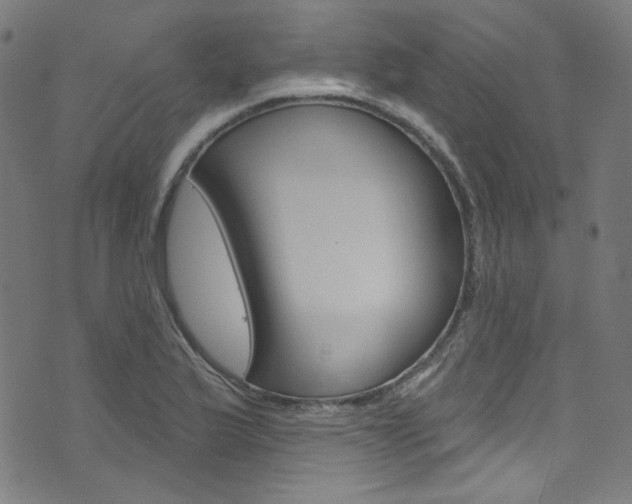 X0000076421175200610061011
