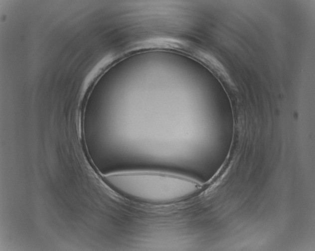 X0000076421180200610061011