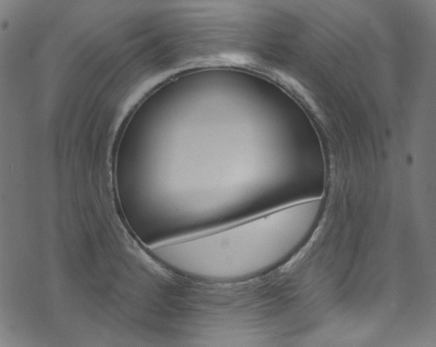 X0000076421184200610061011