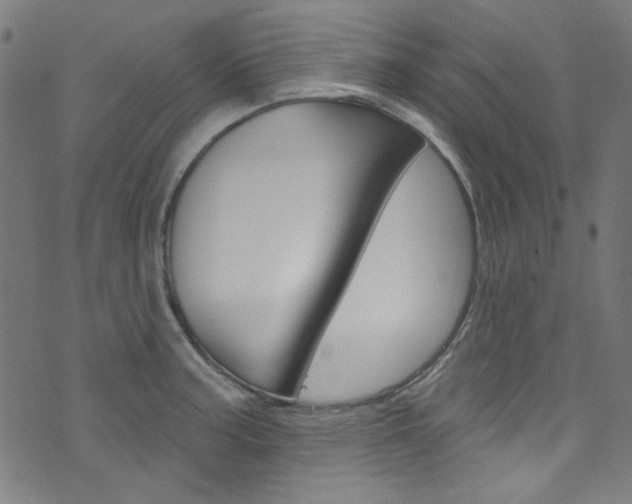 X0000076421187200610061011