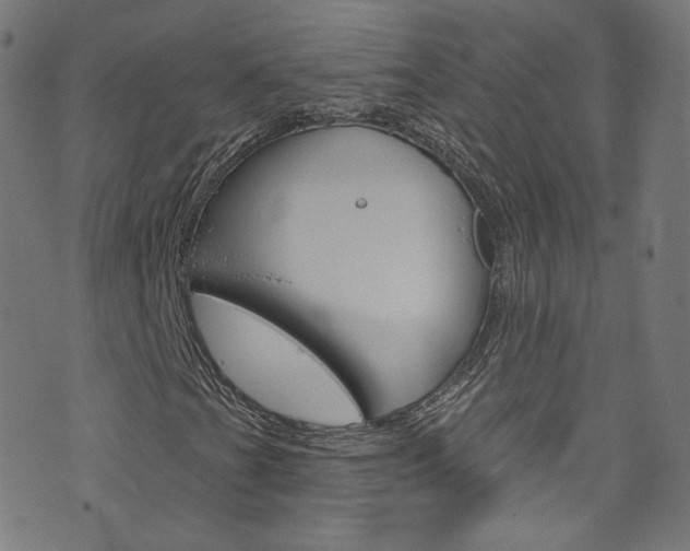 X0000076421201200610061010