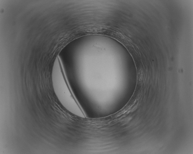 X0000076421202200610061010