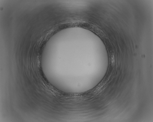 X0000076421204200610061010