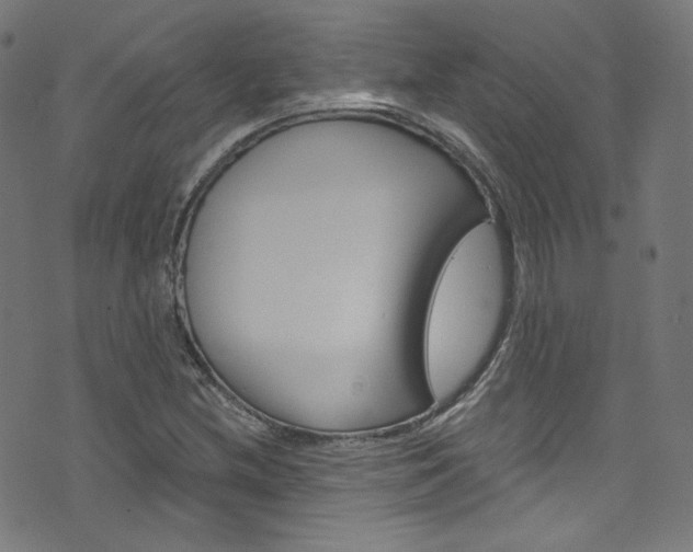 X0000076421212200610061010