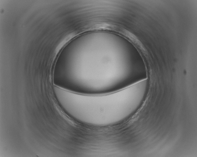 X0000076421234200610061010