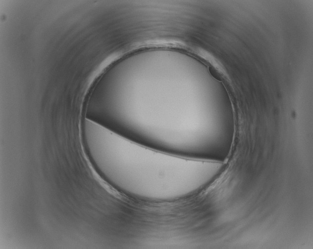 X0000076421237200610061010