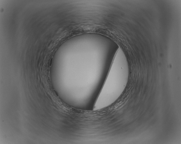 X0000076421249200610061010
