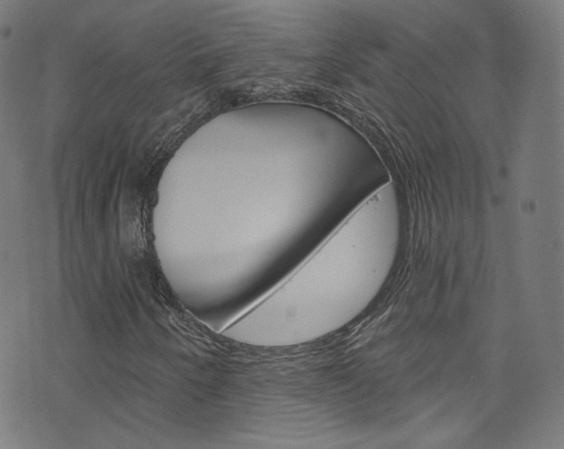 X0000076421250200610061010