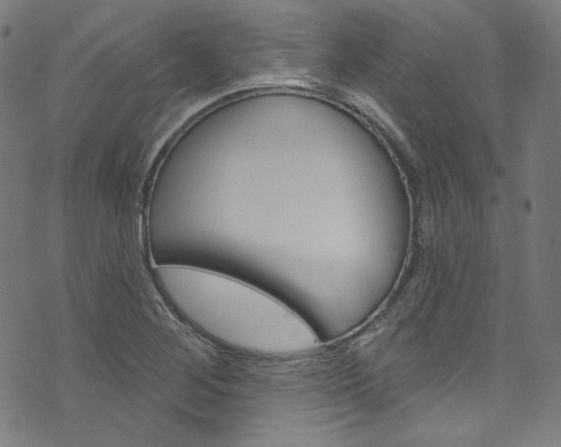 X0000076421268200610061010