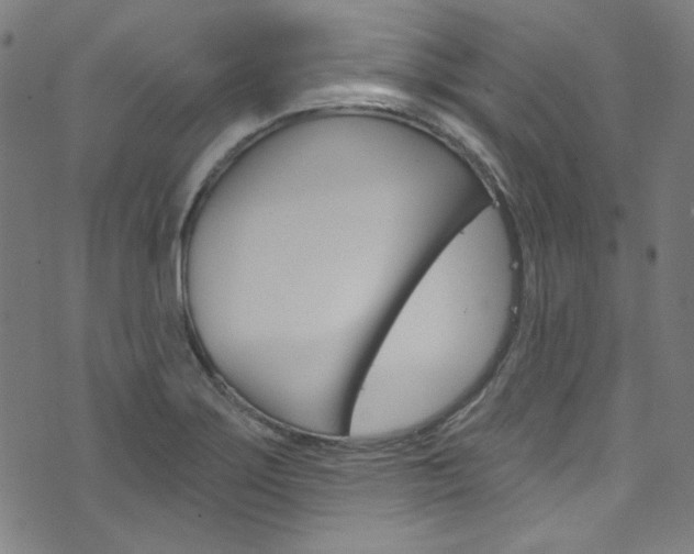 X0000076421275200610061009