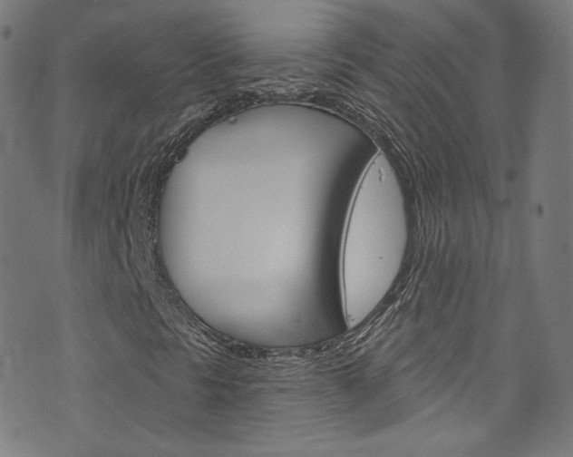 X0000076421297200610061008